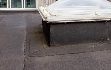 disadvantages of Tockenham Wick flat roofs