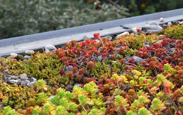 the cost of Tockenham Wick green roof installation