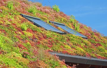 Tockenham Wick living roof systems