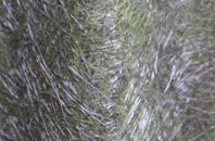 Tockenham Wick fibreglass roof work